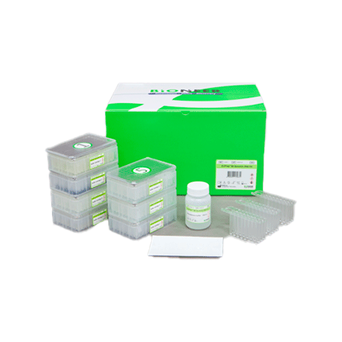 27098. KIT DE EXTRACCION VIRAL RAPIDA DE ADN O ARN P/MUESTRAS CLINICAS 96 PRUEBAS BIONEER