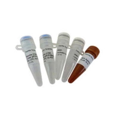 56406. MAXIMA SYBR GREEN ROX QPCR MASTER MIX (2X) 4000 REACTIONS - THERMO SCIENTIFIC