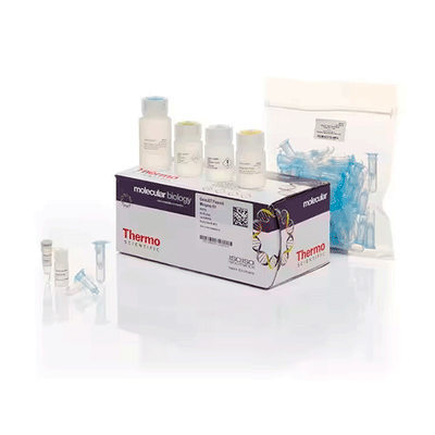 24610. KIT DE MINIPREPARACION DE PLASMIDOS GENEJET 250 PREPS THERMO SCIENTIFIC