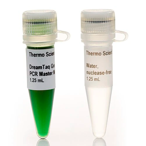 6582. ADN POLIMERASA DREAMTAQ GREEN 1000 REACCIONES - THERMO SCIENTIFIC