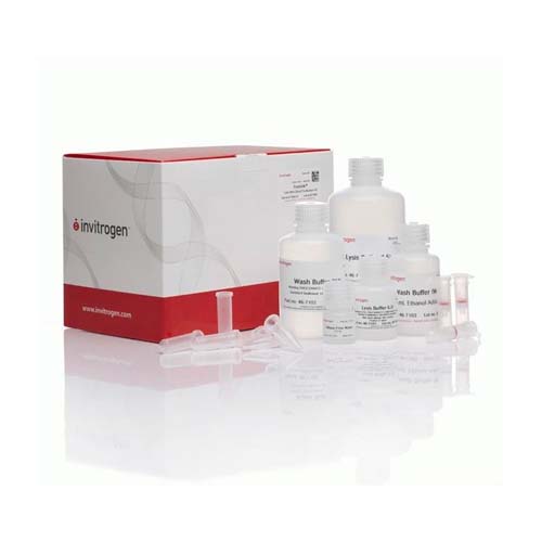 53747. KIT DE SANGRE DE ARN TOTAL PURELINK 50 PREPARACIONES - INVITROGEN