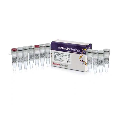 55703. KIT DE SINTESIS DE PRIMERA CADENA DE ADNC REVERTAID H MINUS 100 REACCIONES THERMO SCIENTIFIC