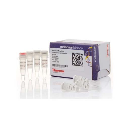 20963. MAXIMA H MINUS FIRST STRAND CDNA SYNTHESIS KIT 100 REACCIONES - THERMO SCIENTIFIC