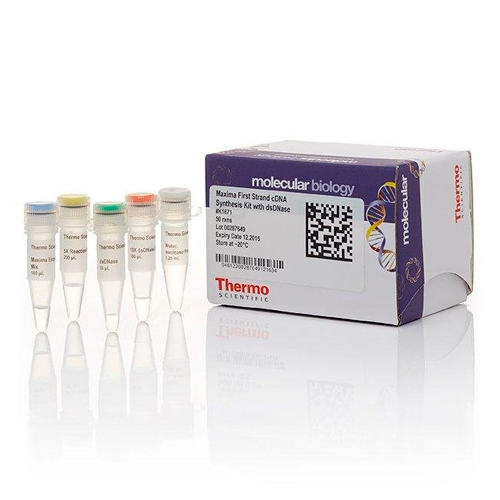 6431. KIT DE SINTESIS DE ADNC DE PRIMERA CADENA MAXIMA P/RT-QPCR C/DNASA BICATENARIA 50 REACCIONES - THERMO SCIENTIFIC