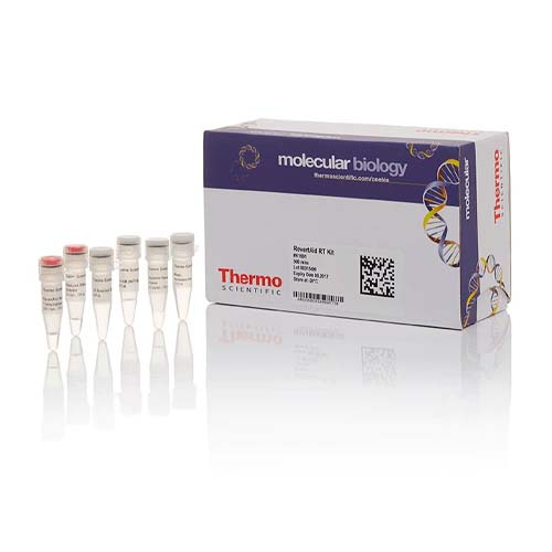 12881.KIT DE TRANSCRIPTASA INVERSA 500RXN - THERMO SCIENTIFIC