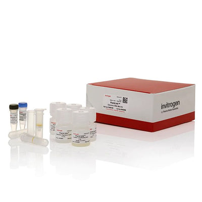53598. MINI KIT DE ADN GENÓMICO PURELINK 10 PRUEBAS - INVITROGEN