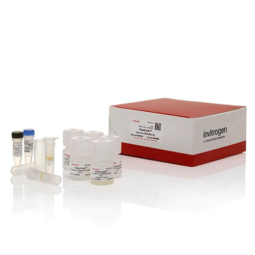 53598. MINI KIT DE ADN GENÓMICO PURELINK 10 PRUEBAS - INVITROGEN