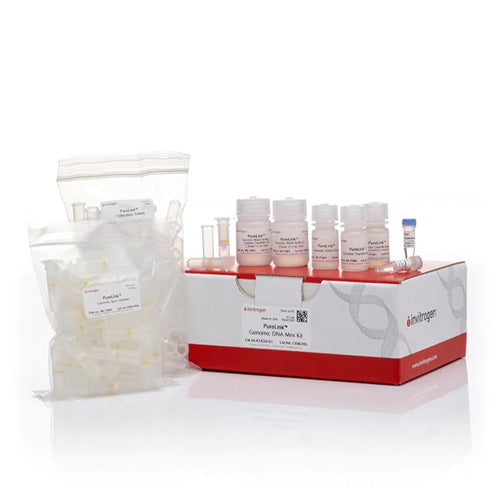 53597. MINI KIT DE ADN GENÓMICO PURELINK 50 PRUEBAS - INVITROGEN