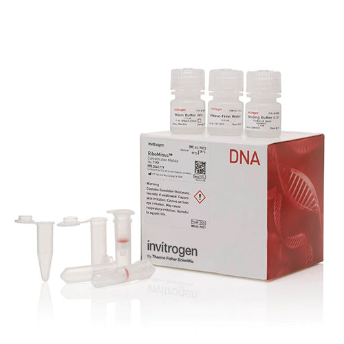 53595. KIT DE PURIFICACIÓN DE ADN VEGETAL GENOMICO PURELINK 50 PRUEBAS - INVITROGEN