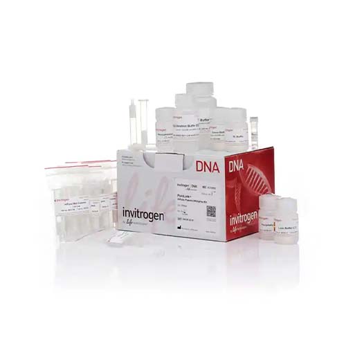55748. KIT DE MINIPREPARACION DE PLASMIDOS PURELINK HIPURE 100 PREPARACIONES INVITROGEN