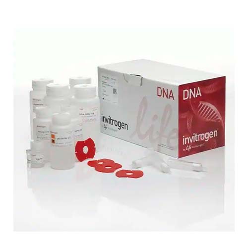 22740. KIT MIDIPREP DE PLASMIDOS HIPURE PURELINK 50 PREPARACIONES INVITROGEN