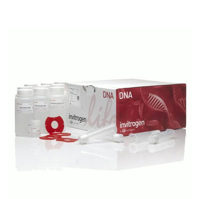53614. KIT DE MESOPREPARACION P/FILTRACION DE PLASMIDOS (PURELINK - HIPURE) MIDIPREP, P/25 PREPARACIONES - INVITROGEN