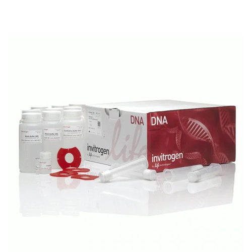 53614. KIT DE MESOPREPARACION P/FILTRACION DE PLASMIDOS (PURELINK - HIPURE) MIDIPREP, P/25 PREPARACIONES - INVITROGEN
