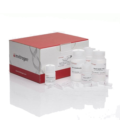 3646. KIT COMBINADO PURELINK  QUICK GEL EXTRACTION Y PCR PURIFICATION C/50 - INVITROGEN