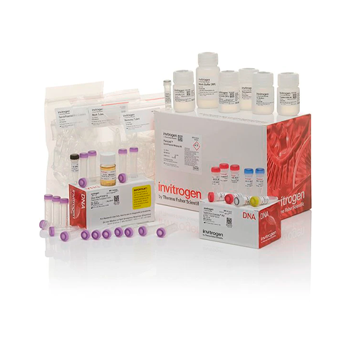 18438. TOPO TA CLONING KIT WITH PCR 2.1-TOPO, ONE-SHOT CHEMICALLY COMPETENT E-COLI AND PURE-LINK QUICK PLASMID MINIPREP KIT - INVITROGEN