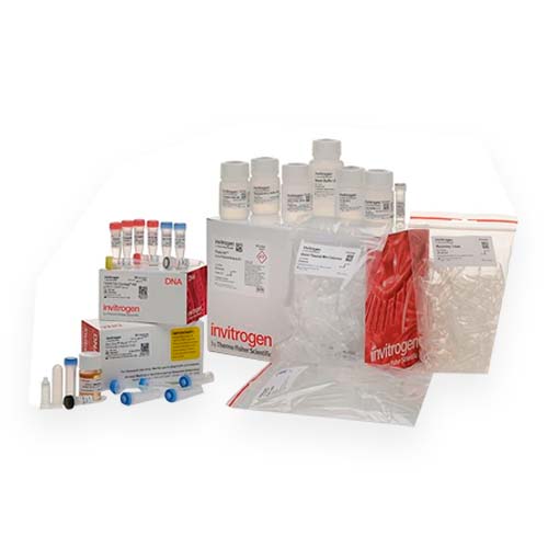 13620.TOPO TA CLONING KIT FOR PCR 2.1-TOPO, ONE SHOT MACH1-T1R CHEMICALLY COMPETENT E. COLI AND PURELINK QUICK PLASMID MINIPREP KIT 25 REACTIONS - INVITROGEN