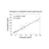 26908. LEPTIN HUMAN ELISA KIT 96 TESTS INVITROGEN