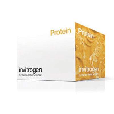 53619. IL-10 PORCINE ELISA KIT, 96 TESTS - INVITROGEN