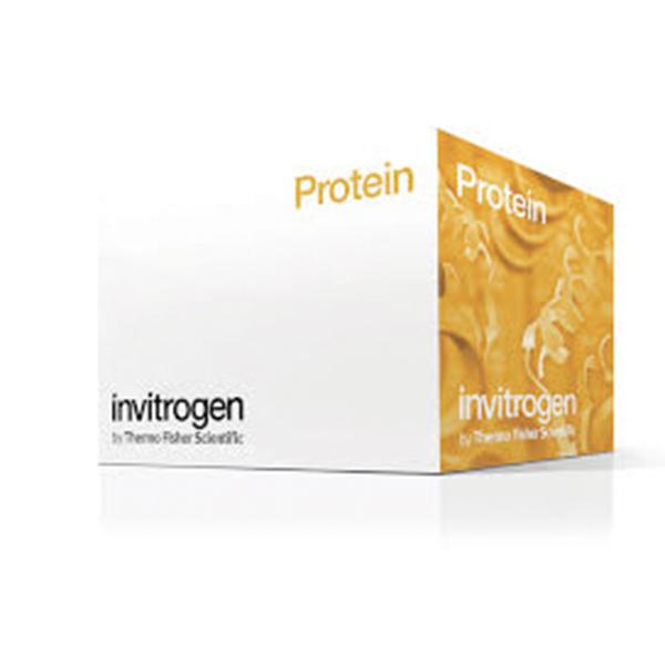 53619. IL-10 PORCINE ELISA KIT, 96 TESTS - INVITROGEN