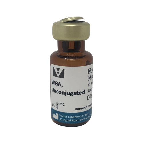 5270. WHEAT GERM AGGLUTININ (WGA) UNCONJUGATED 10MG - VECTOR