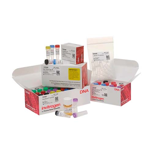 13606.GENERACER KIT WITH SUPERSCRIPT III RT AND TOPO TA CLONING KIT FOR SEQUENCING - INVITROGEN