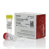 53545. REACTIVO PARA TRANSFECCION LIPOFECTAMINE 3000 0.75ML - INVITROGEN
