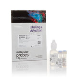 52842. KIT DE VIABILIDAD BACTERIANA LIVE/DEAD BACLIGHT P/MICROSCOPIA Y ENSAYOS CUANTITATIVOS 60 PRUEBAS - MOLECULAR PROBES