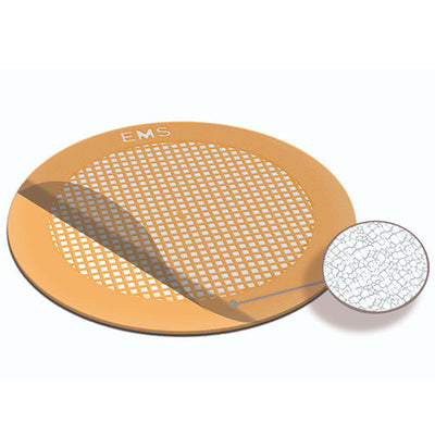 26722. PELICULA DE CARBONO LACEY MALLA 300, 100UM C/25 EMS