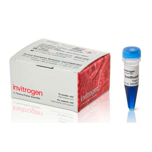 26798. ESTANDAR DE PROTEINAS PRETEÑIDAS SEEBLUE 500UL INVITROGEN