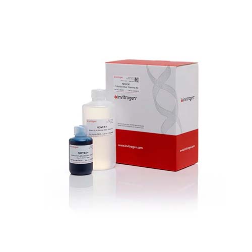 21270. KIT DE TINCION AZUL COLOIDAL - INVITROGEN
