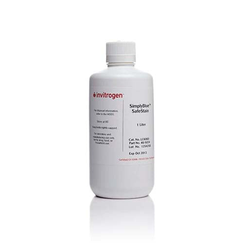 21269. SIMPLYBLUE SAFESTAIN 1LT - INVITROGEN