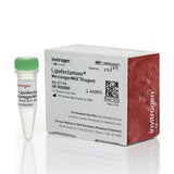 53544. LIPOFECTAMINE MESSENGERMAX TRANSFECTION REAGENT 0.1ML - INVITROGEN
