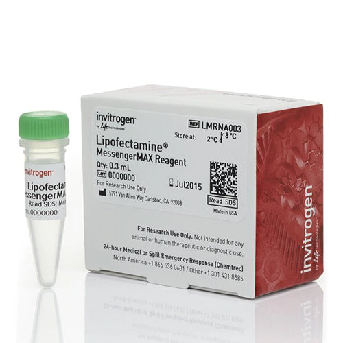 53543. LIPOFECTAMINE MESSENGERMAX TRANSFECTION REAGENT 0.3ML - INVITROGEN