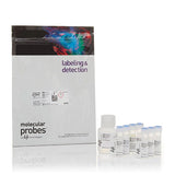 52841. KIT DE ENSAYO MITOPROBE JC-1 - MOLECULAR PROBES