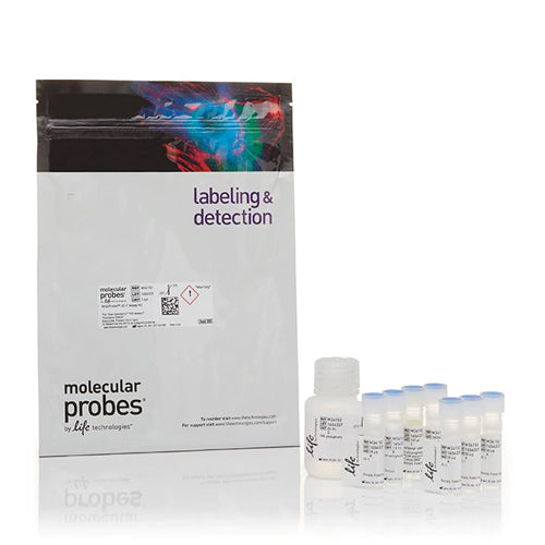 52841. KIT DE ENSAYO MITOPROBE JC-1 - MOLECULAR PROBES