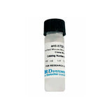 20520. HUMAN FAS/TNFRSF6/CD95 ANTIBODY 500UG - R&D SYSTEMS