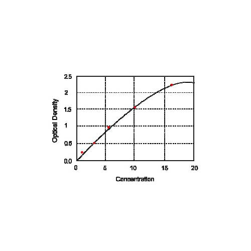 20406. 2-ARACHIDONOYLGLYCEROL (2-AG) ELISA KIT 96 STRIP WELLS - MY BIOSOURCE