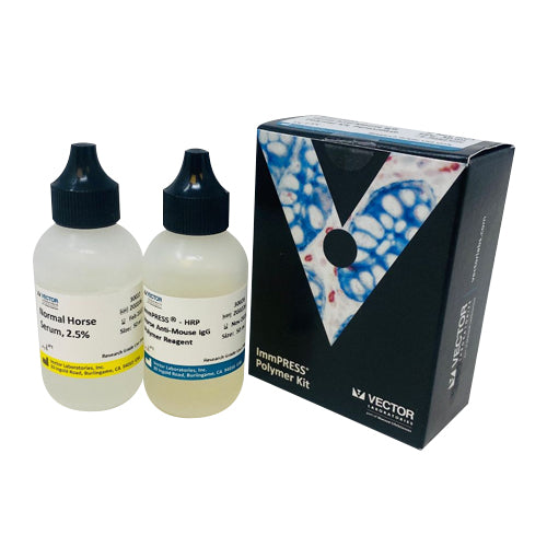 5281. IMMPRESS HRP GOAT ANTI-RAT IGG POLYMER DETECTION KIT, PEROXIDASE 50ML - VECTOR