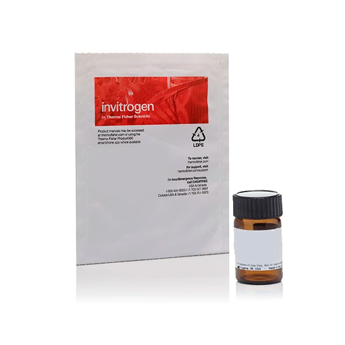52854. CLORURO DE TETRAZOLIO AZUL NITRO (NBT) 1GR - MOLECULAR PROBES
