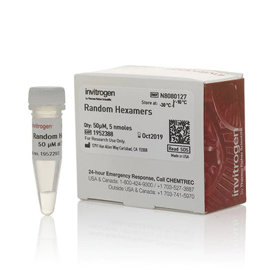 53617. PRIMERS DE HEXAMEROS ALEATORIOS (50UM) 5NMOL - INVITROGEN