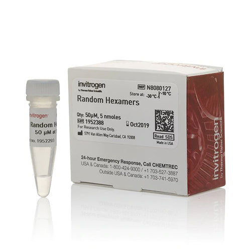 53617. PRIMERS DE HEXAMEROS ALEATORIOS (50UM) 5NMOL - INVITROGEN