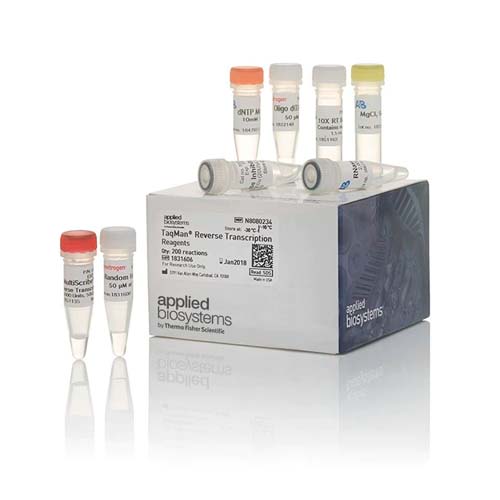 15748. REACTIVO P/ TRANSCRIPCION INVERSA TAQMAN 200 REACCIONES - INVITROGEN