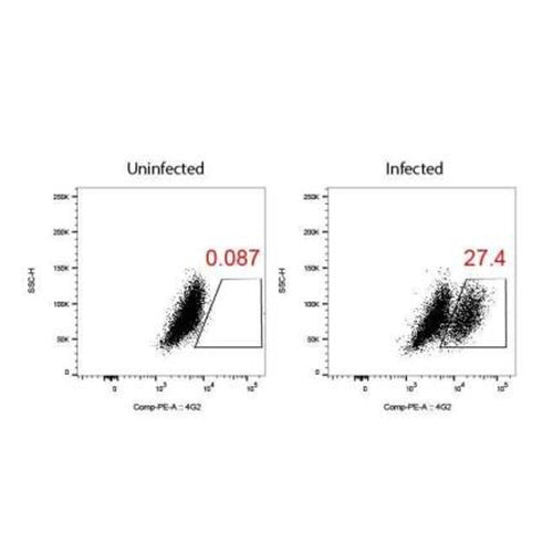 4949. FLAVIVIRUS GROUP ANTIGEN ANTIBODY (D1-4G2-4-15 (4G2)) 0.2MG - NOVUS BIOLOGICALS