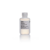18435. NUPAGE TRANSFER BUFFER (20X) 125ML - INVITROGEN