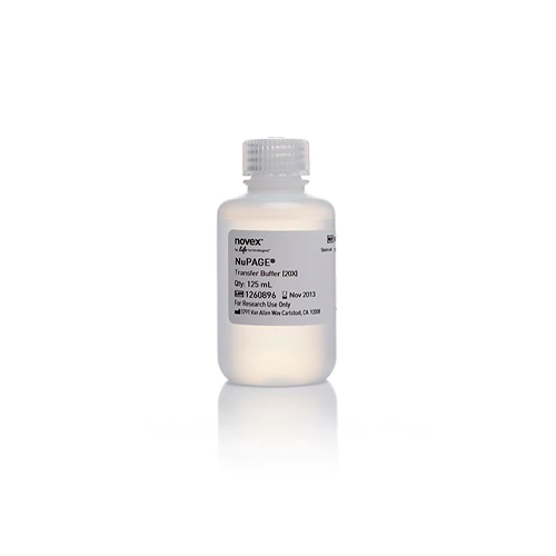 18435. NUPAGE TRANSFER BUFFER (20X) 125ML - INVITROGEN