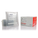 6176. MIDIGEL DE PROTEINAS, BIS-TRIS 4-12% 1.00MM, 10 POCILLOS - INVITROGEN