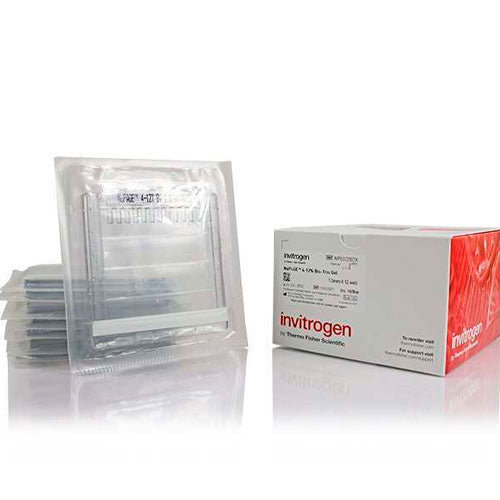 26775. MINIGEL DE PROTEINAS NUPAGE, 10 GELES BIS-TRIS DEL 4-12% 1.00MM, 15 POCILLOS C/10 INVITROGEN