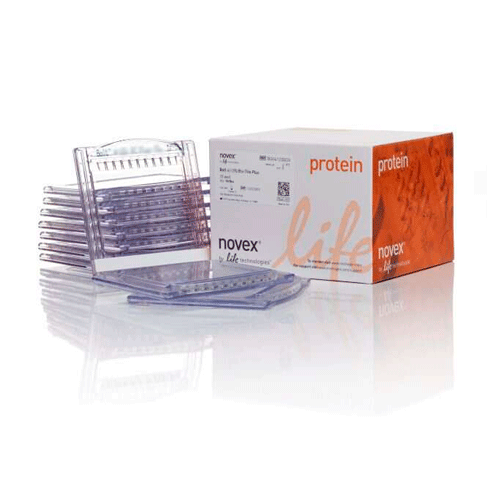 26880. GEL 4-12 % DE BIS-TRIS PLUS BOLT 15 POZOS C/10 INVITROGEN