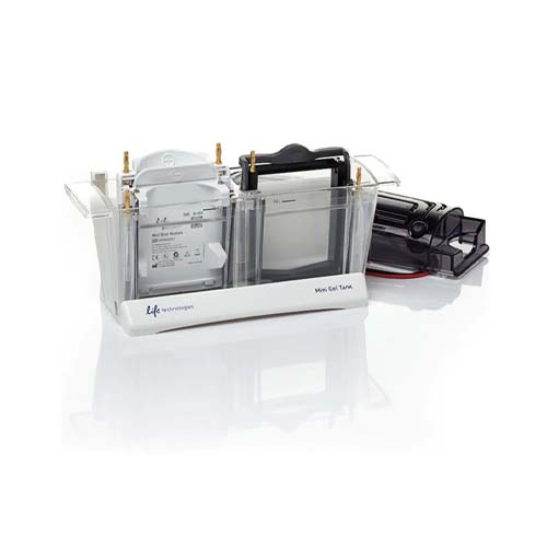 21109. SET DE MODULO DE FILTRO Y TANQUE MINI GEL - THERMO SCIENTIFIC