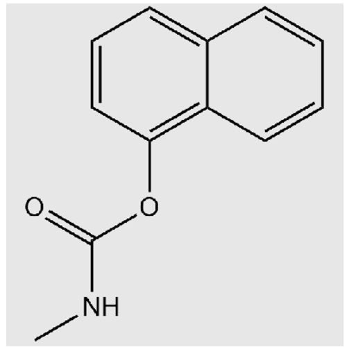27011. STD CRM CARBARILO 100UG/ML EN MEOH 1ML ACCUSTANDARD